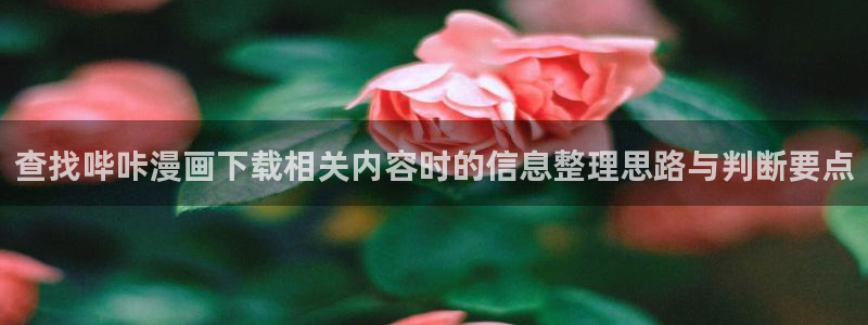 樱花日语阅读理解：查找哔咔漫画下载相关内容时的信息整理思路与判断要点